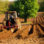 Agricultura