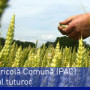 butonpacpdf