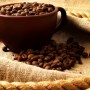 cafea-Arabica-JP132312HU