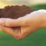 cover_agriculture