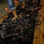 firewalking-449