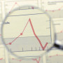 lupa-shutterstock