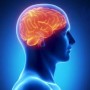 neurologic-img10